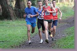 Begles 15.12.13 01 1078 * 680 x 450 * (119KB)